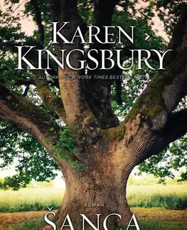 Romantická beletria Šanca - Karen Kingsbury