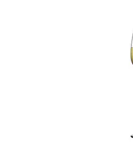 SOMMELIER Tescoma poháre na biele víno Sommelier 340ml, 6 ks