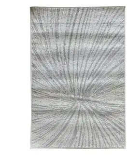 Moderné koberce Koberec Velutto 1,6/2,35 49096 YD1 Z