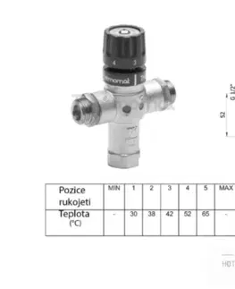 Doplnky do kúpeľne SAPHO - Termostatický regulátor teploty vody, 1/2", 30-60 stupňov, spätné klapky TMT12MPM