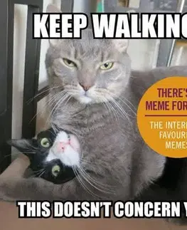 Cudzojazyčná literatúra Keep Walking, This Doesn't Concern You