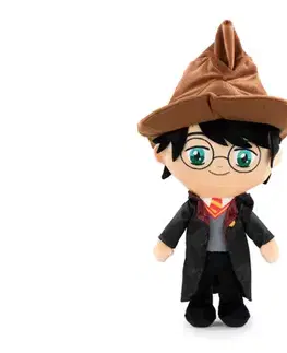 Plyšové a textilné zvieratká BARRADO HARRY POTTER - Harry s triediacim klobúkom plyšová hračka 22cm