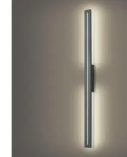 LED osvetlenie BRILAGI - LED Vonkajšie nástenné svietidlo LINEO LED/24W/230V 4000K IP65 antracit BRI274