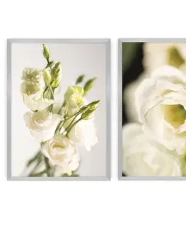 Obrazy Súbor obrazov Flowers 2szt.