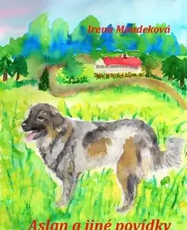 Novely, poviedky, antológie Aslan a jiné povídky - Irena Mondeková
