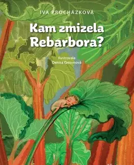 Pre deti a mládež - ostatné Kam zmizela Rebarbora? - Iva Procházková