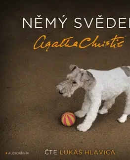 Detektívky, trilery, horory OneHotBook Němý svědek