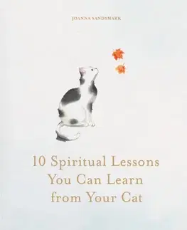 Ezoterika 10 Spiritual Lessons You Can Learn from Your Cat - Joanna Sandsmark