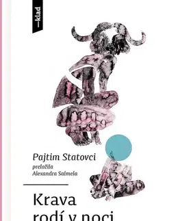 Svetová beletria Krava rodí v noci - Pajtim Statovci,Alexandra Salmela,Monika Pascoe Mikyšková
