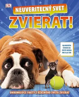 Príroda Neuveriteľný svet zvierat! - Kolektív autorov,Nikoleta Račková