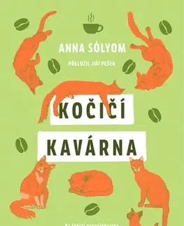 Svetová beletria Kočičí kavárna - Anna Sólyom