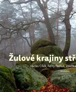 Geografia, geológia, mineralógia Žulové krajiny středních Čech - Kolektív autorov,Václav Cílek,Fediuk Ferry