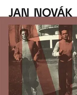 Česká beletria Zatím dobrý - Jan Novák