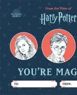 V cudzom jazyku Harry Potter: Youre Magical: A Fill-in Book - Donald Lemke