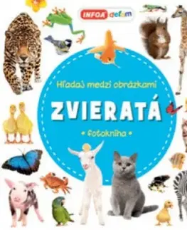 Príprava do školy, pracovné zošity Hľadaj medzi obrázkami - Zvieratá - Kolektív autorov