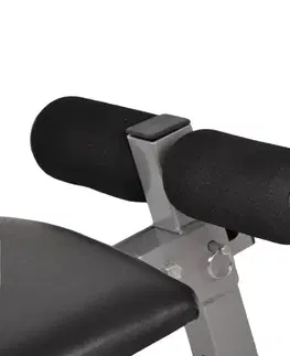 Posilňovacie lavice Šikmá posilňovacia lavička inSPORTline Straight