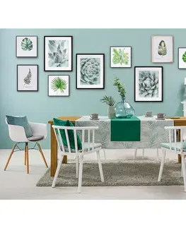 Obrazy Obraz Succulents III 40x50xcm