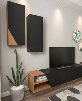 Obývacie steny TV skrinka / Obývacia stena Zebra - Black, Teak