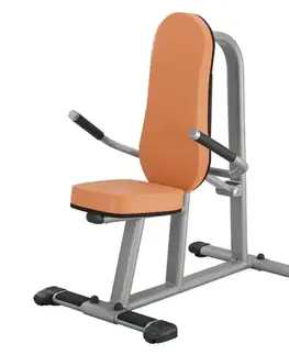Posilňovacie stroje Posilňovač tricepsov - Hydraulicline CAC700 čierna