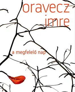 Svetová beletria A megfelelő nap - Imre Oravecz