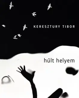 Svetová beletria Hűlt helyem - Tibor Keresztury