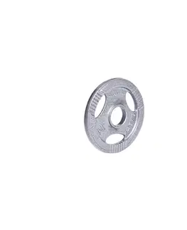 Závažia k činkám Liatinový kotúč inSPORTline Hamerton 1,25 kg 30 mm
