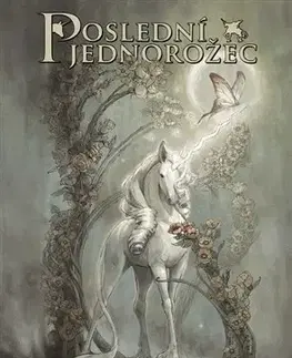 Komiksy Poslední jednorožec - Peter S. Beagle,Renae De Lizová,Ray Dillon