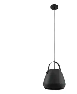 Svietidlá Eglo 33649 - Závesné svietidlo BEDNALL na lanku 1xE27/60W/230V 33649