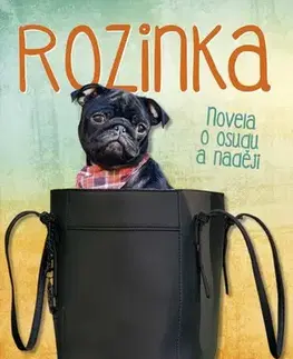 Novely, poviedky, antológie Rozinka - Kamila Holásková