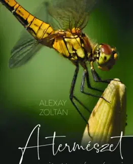 Fotografia A természet rejtett szépségei - Zoltán Alexay