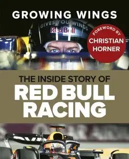 F1, automobilové preteky Growing Wings - Ben Hunt