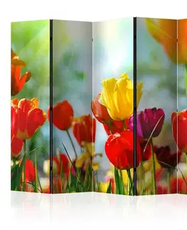 Paravány Paraván Spring Tulips II Dekorhome