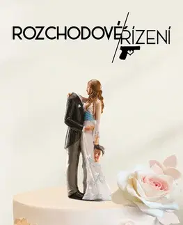 Romantická beletria Rozchodové řízení - Petr Procházka
