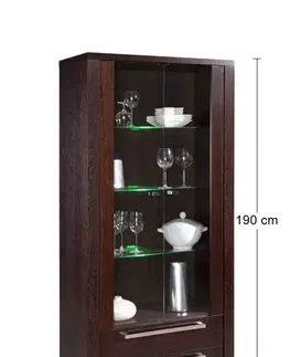 Vitríny PYKA Remi 2S vitrína drevo D16