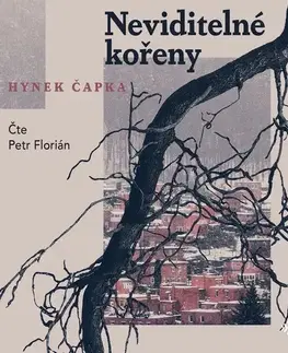 História Voxi Neviditelné kořeny