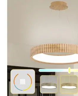 Svietidlá BRILAGI - LED luster na lanku FALCON WOOD MODERN LED/40W/230V pr. 60 cm drevo BRI528
