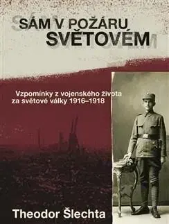 História, vojnová literatúra Sám v požáru světovém - Theodor Šlechta