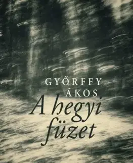 Svetová beletria A hegyi füzet - Ákos Győrffy