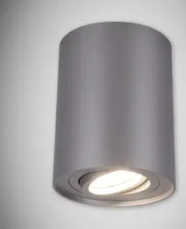 Lampy do obývačky Bodové svietidlo Hary C GU10 strieborná 0371 K1