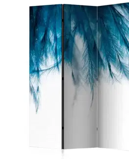 Paravány Paraván Sapphire Feathers Dekorhome