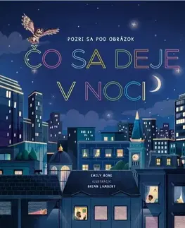 Leporelá, krabičky, puzzle knihy Čo sa deje v noci - Pozri sa pod obrázok - Emily Bone,Brian Lambert