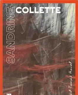 Svetová beletria Přišla za svítání - Sandrine Collette,Havel Tomáš