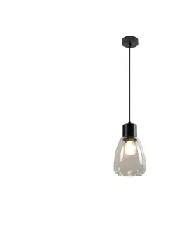 Svietidlá  Luster na lanku MOLDO 1xE27/40W/230V čierna/číra 31-35066