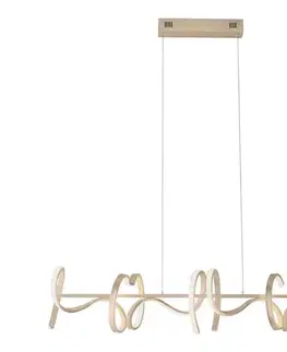 Svietidlá Leuchten Direkt 19033-60 - LED Stmievateľný luster na lanku CURLS LED/40,8W/230V 19033-60