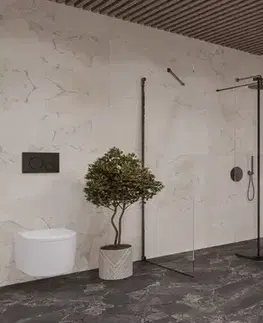 Sprchové dvere Sprchová zástena Walk-in 120x90 cm SAT SATBWI12090PACROZC SATBWI12090PACROZC