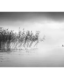 Obrazy Plátno maľba By the Lake II