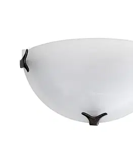 Svietidlá Top Light 5504/A/ZL/AL - Nástenné svietidlo 1xE27/60W/230V 5504/A/ZL/AL