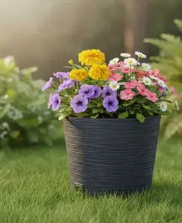 Záhradné kvetináče ProsperPlast Kvetináč FURU ROUND | antracit 30 cm