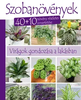 Izbové rastliny Szobanövények