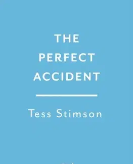 Detektívky, trilery, horory The Perfect Accident - Tess Stimson